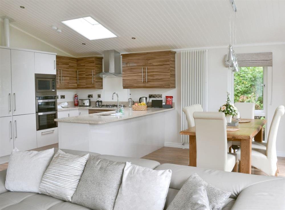 Open plan living/dining room/kitchen at Lake Bank Lodge in Ulverston, Cumbria