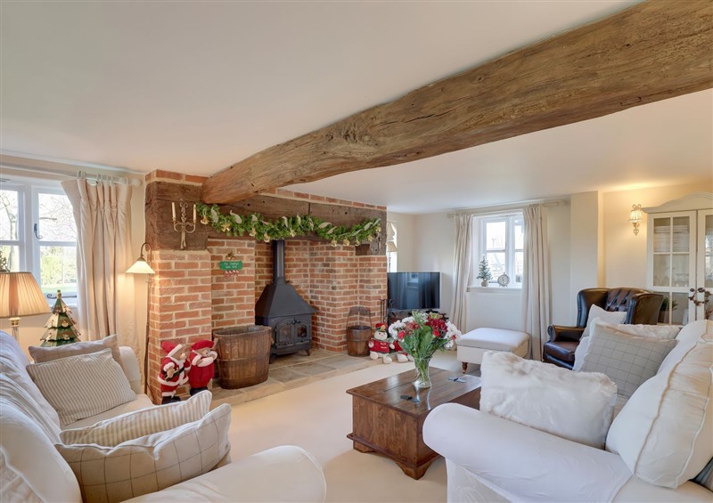 Enjoy the living room at Lake Cottage, Swindon
