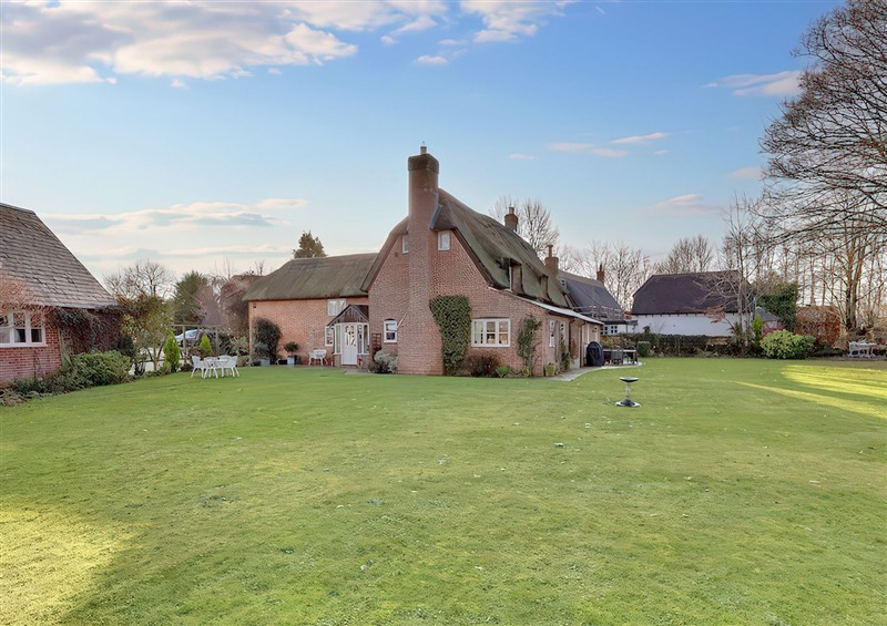 The garden at Lake Cottage, Swindon