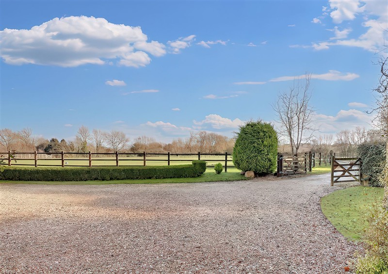 This is the garden at Lake Cottage, Swindon