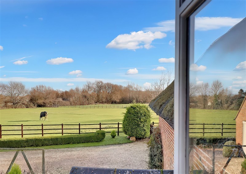 This is the setting of Lake Cottage at Lake Cottage, Swindon