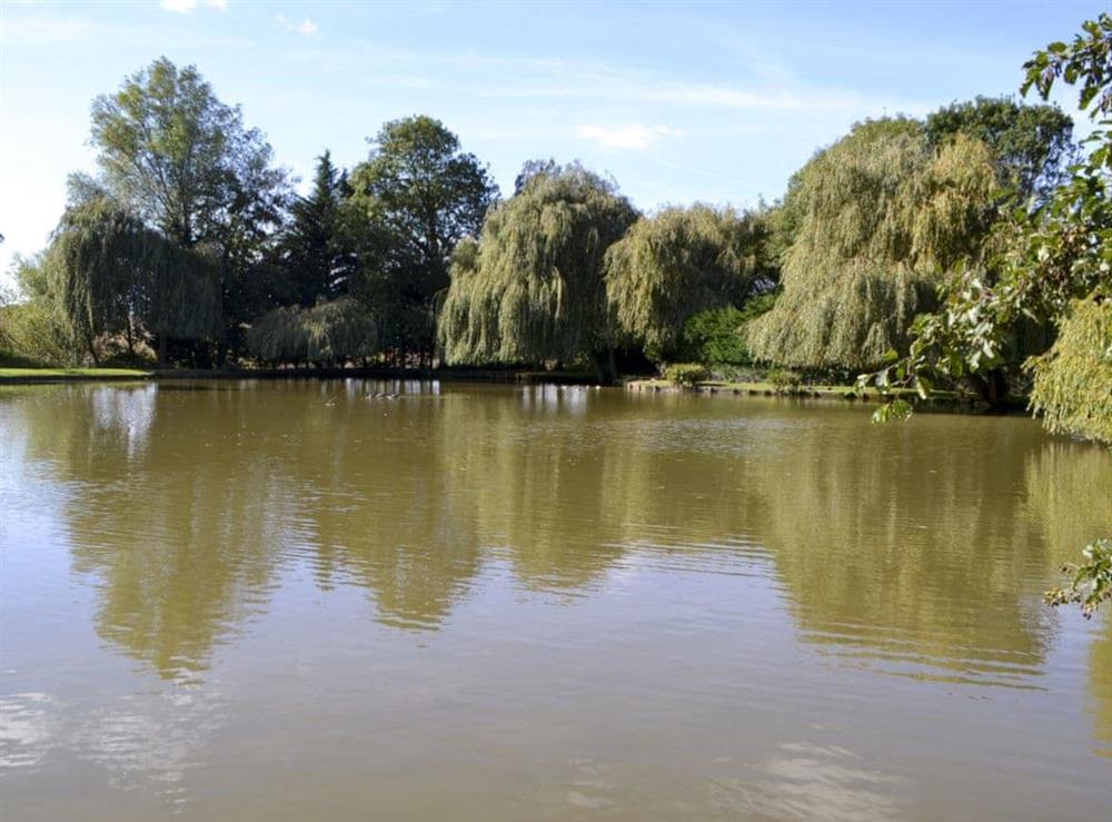 Fishing lake in grounds, 200 yards at Lake House Cottage in Finchingfield, near Braintree, Essex