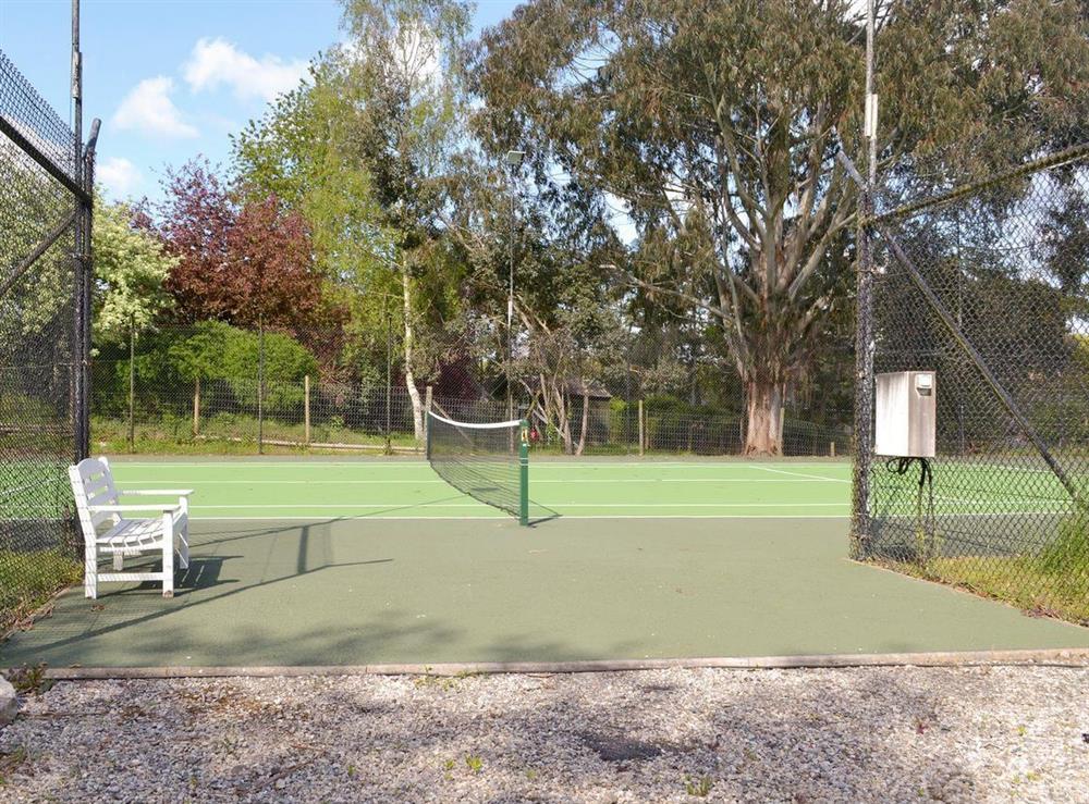 Shared facilities – Tennis court at Lake View in Bovey Tracey., Devon