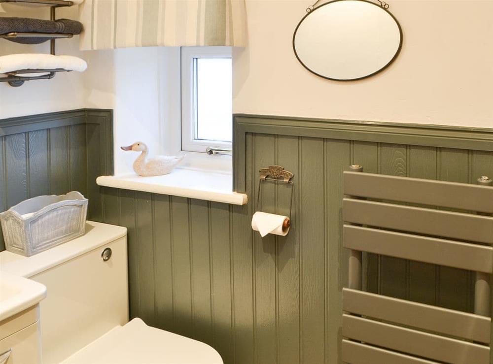 Shower room with cubicle and heated towel rail at Lake View Cottage in Yarrow Moor, near Bellingham, Northumberland
