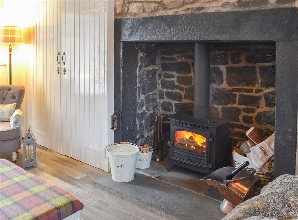Wonderful feature fireplace in the living area at Lake View Cottage in Yarrow Moor, near Bellingham, Northumberland