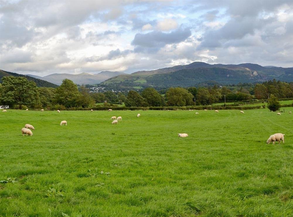 Relaxe and enjoy the slower-paced life of The Lake District at Derwent, 