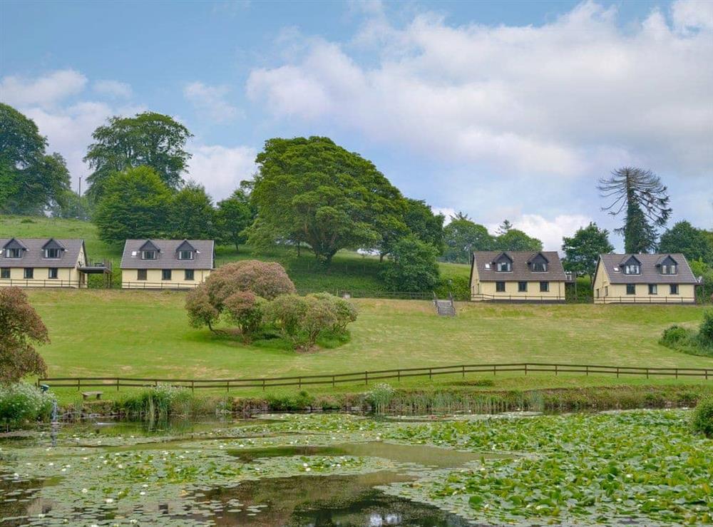 Garden and grounds (photo 4) at Lake View Villas in Liskeard, Cornwall