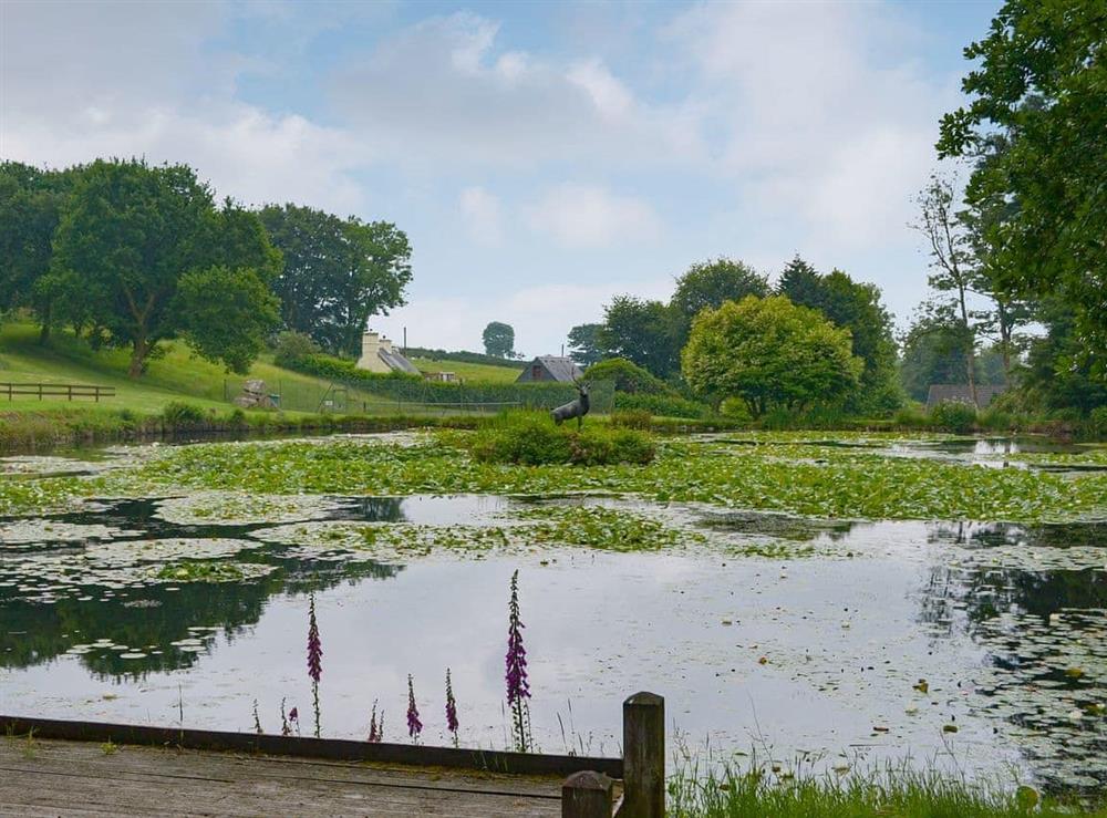 Garden and grounds (photo 6) at Lake View Villas in Liskeard, Cornwall