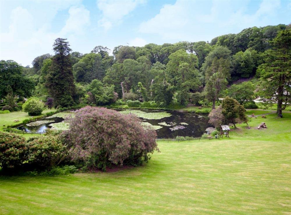 Garden and grounds at Lake View Villas in Liskeard, Cornwall