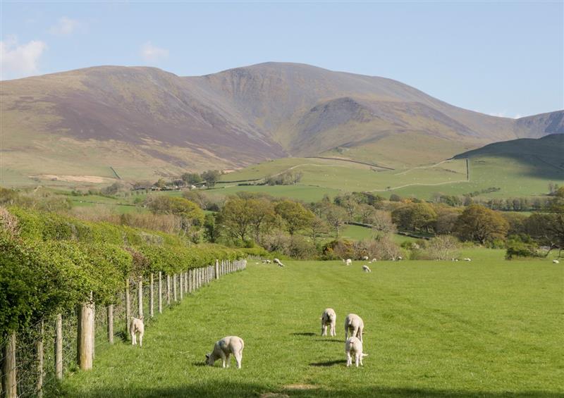 Rural landscape