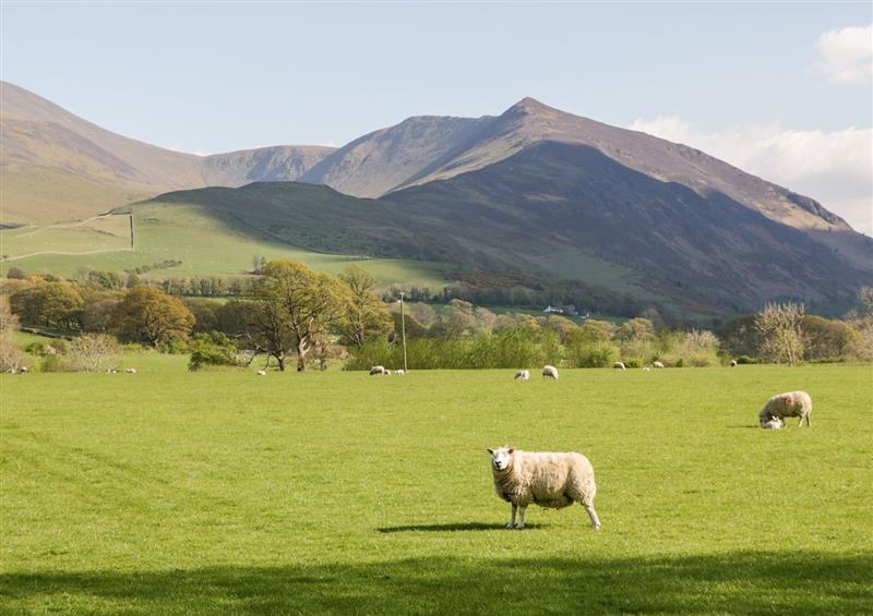 The setting of Lakeland View