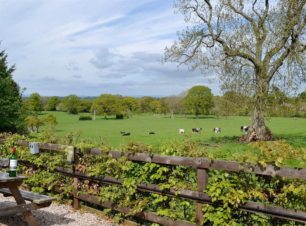 Views over the fields and picnic style seating at Swallow Cottage, 