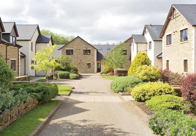 The park setting at Lakes Village Retreat in Berrier, Nr Troutbeck, Cumbria & The Lakes