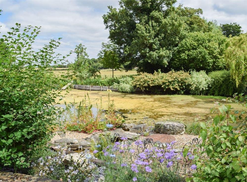 Large well planted gardens with ornamental lake at Lakeside Cabin in Kingston Blount, near Thame, Oxfordshire