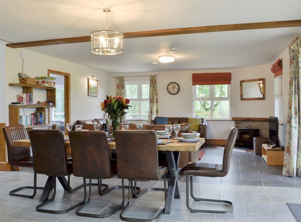 Stylish open-plan living space at Lakeside Lodge in near Rhayader, Powys