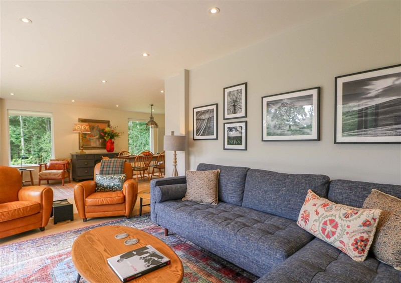 Relax in the living area at Lakeside Lodge, Witherenden Hill near Burwash