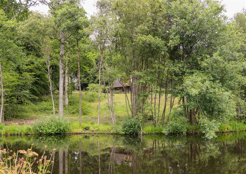 Rural landscape at Lakeside Lodge, Witherenden Hill near Burwash