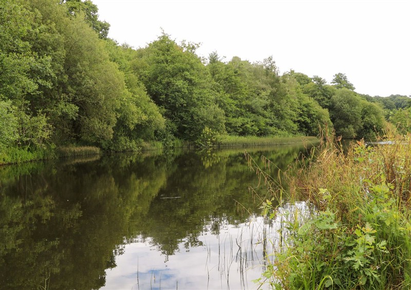 The setting around Lakeside Lodge (photo 2) at Lakeside Lodge, Witherenden Hill near Burwash