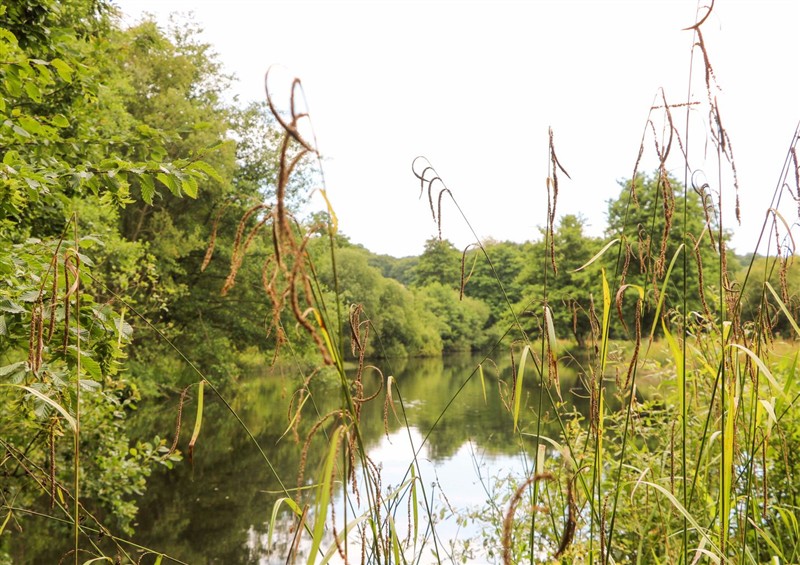 The setting around Lakeside Lodge at Lakeside Lodge, Witherenden Hill near Burwash