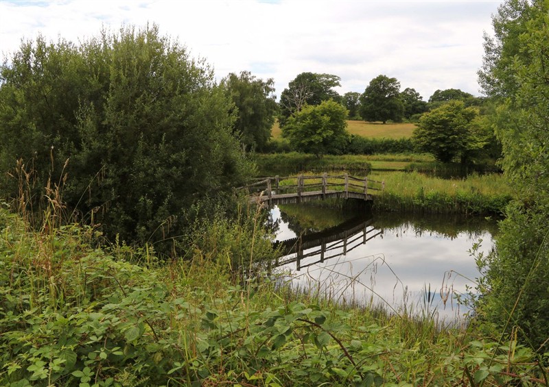 The setting at Lakeside Lodge, Witherenden Hill near Burwash
