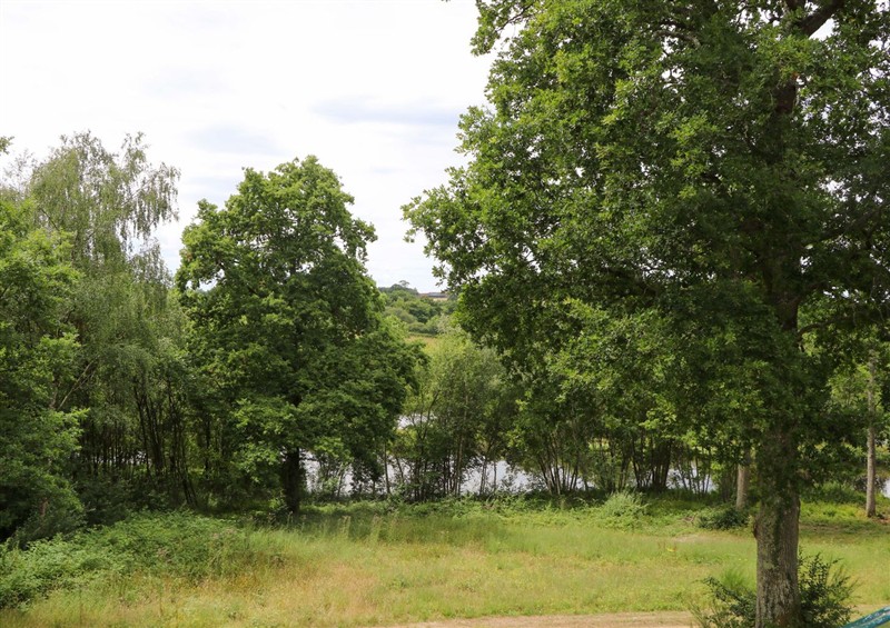 This is the garden at Lakeside Lodge, Witherenden Hill near Burwash