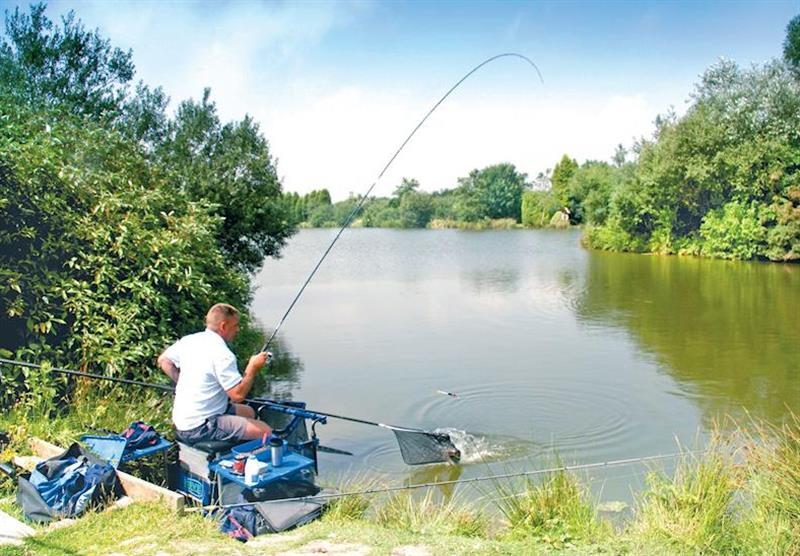Fishing on the lakes at Lakeview Country Club in North Cornwall, South West of England
