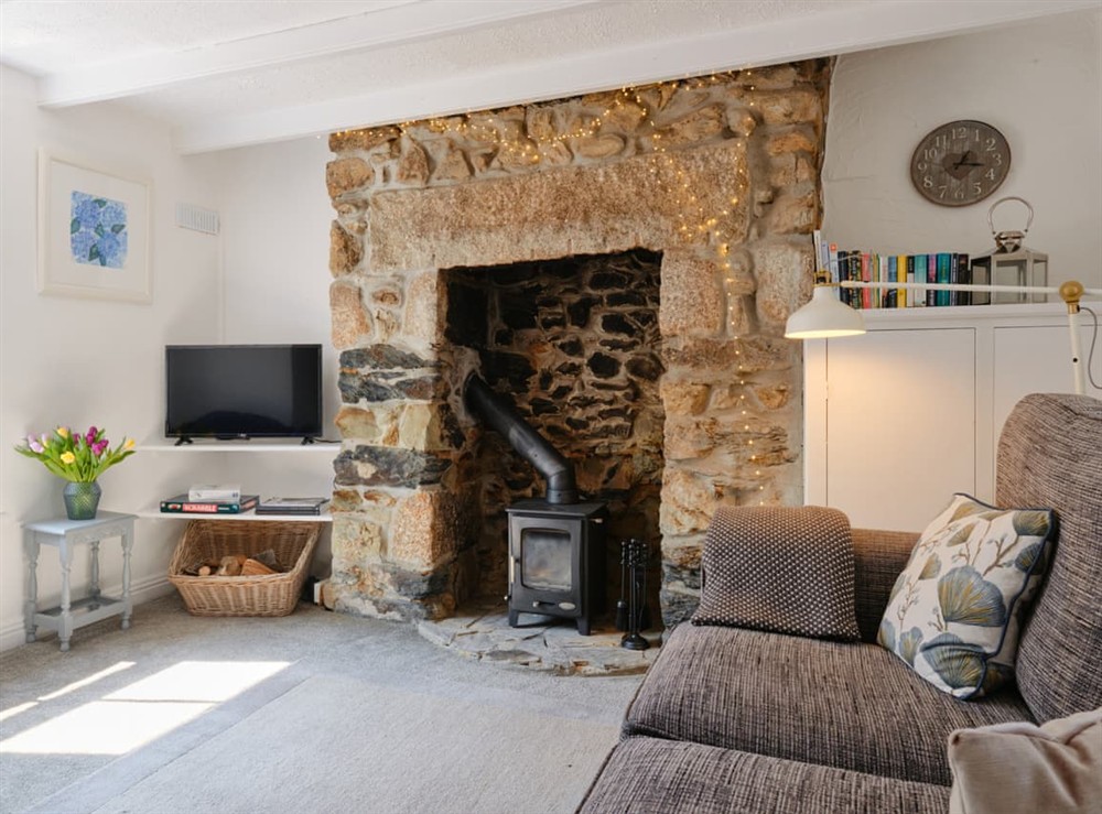 Living area at Lakeview Lodge in Helston and the Lizard Peninsula, Cornwall