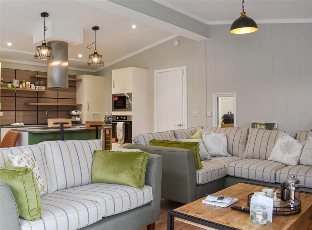Open plan living space at Lakeview Lodge in Landford, near Salisbury, Wiltshire