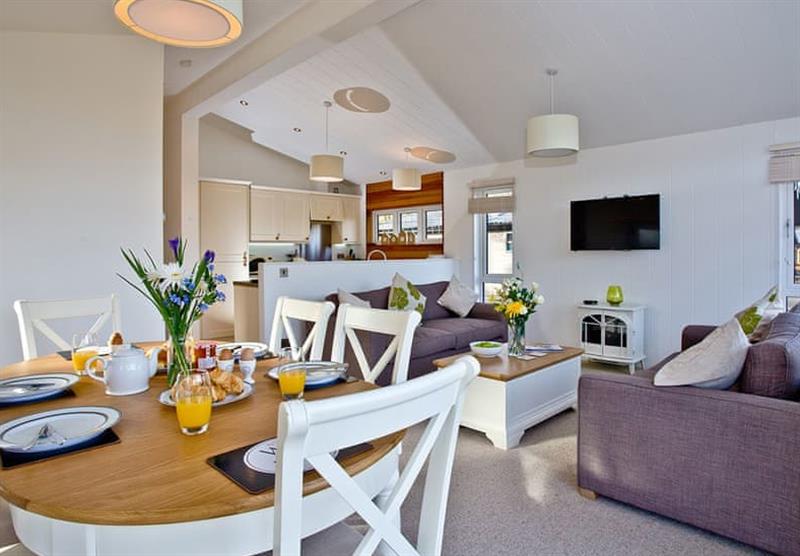 Living area in the Drake Lodge at Lakeview Manor Lodges in Dunkeswell, Honiton