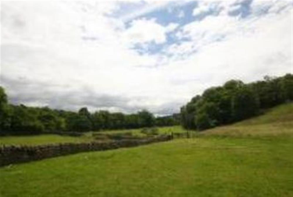 Fields at Lambley Farm Kingfisher in Brampton, Cumbria