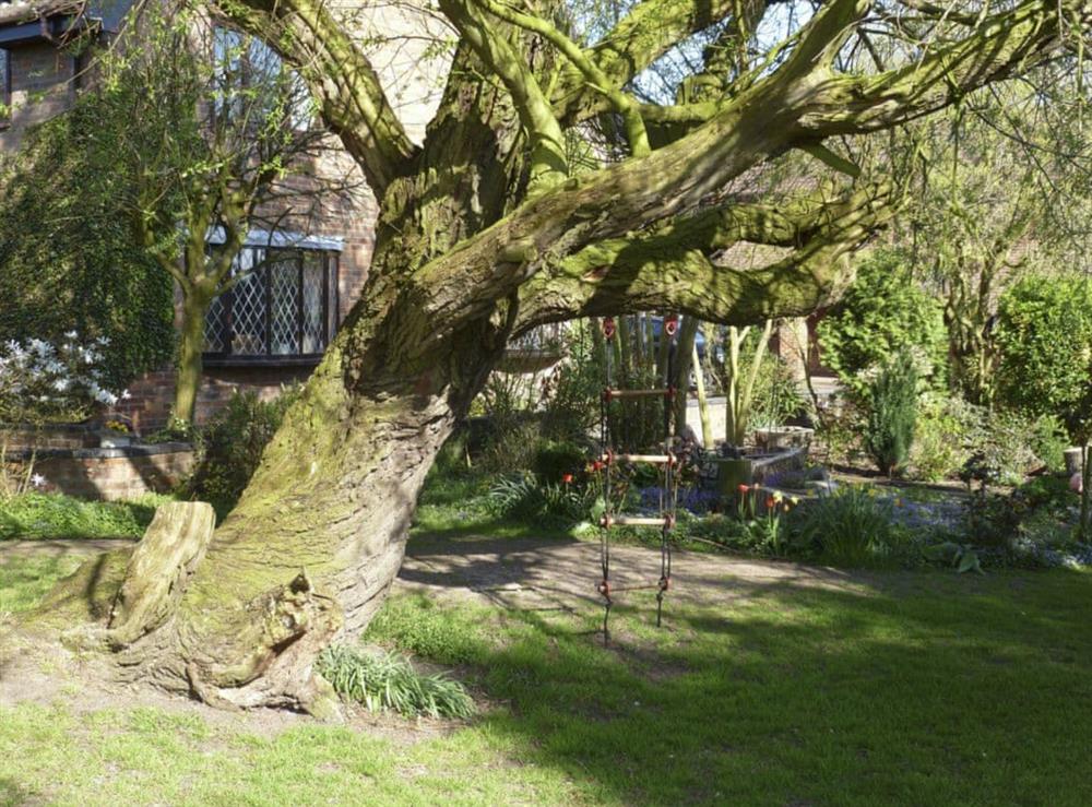 Old willow in front at Lambourne House in Skegness, Lincolnshire