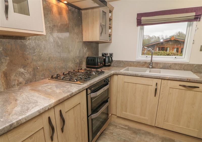 This is the kitchen (photo 2) at Lancaster Lodge, South Lakeland Leisure Village