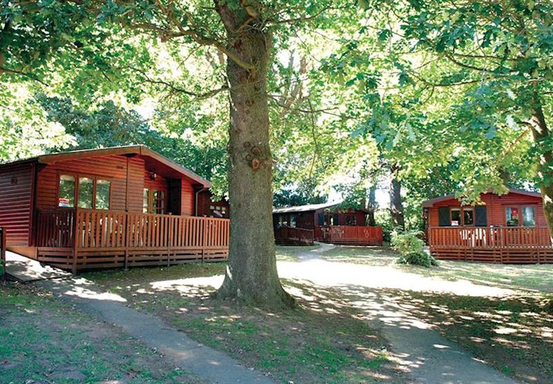 A photo of Sessile Lodge at Landguard Holiday Park