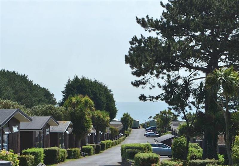 Park views at Landscove in Berry Head, Torbay, Devon