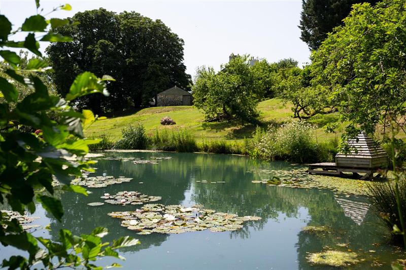 Pond at Landscove House & Barns, Newton Abbot, Devon