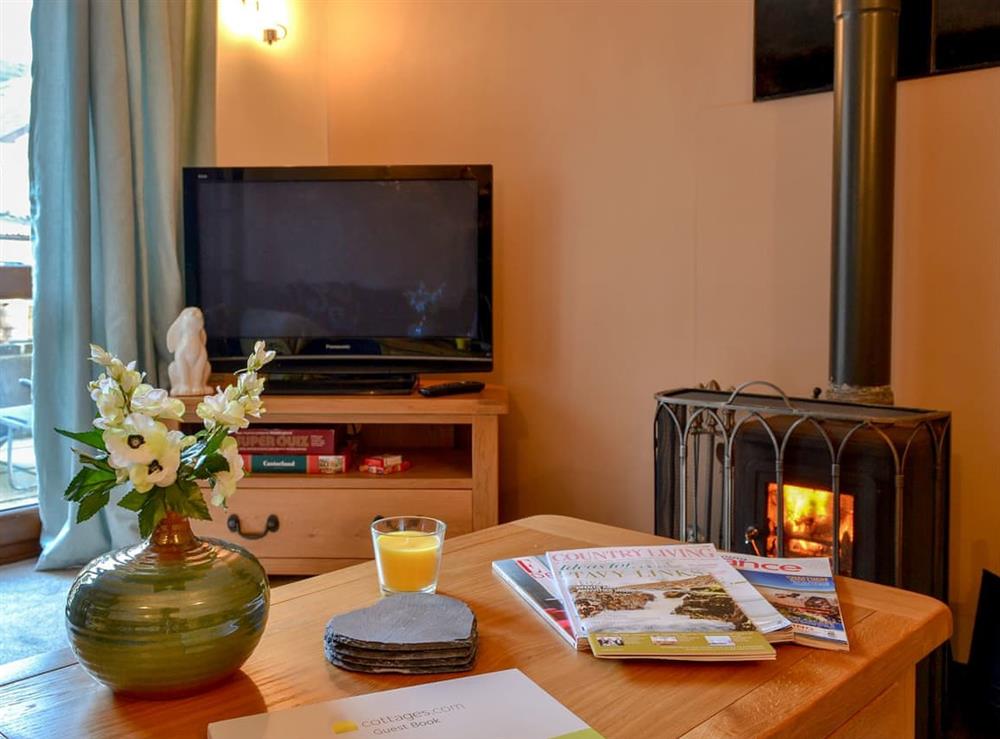 Cosy living room with wood burner (photo 2) at Lane End Linney, 
