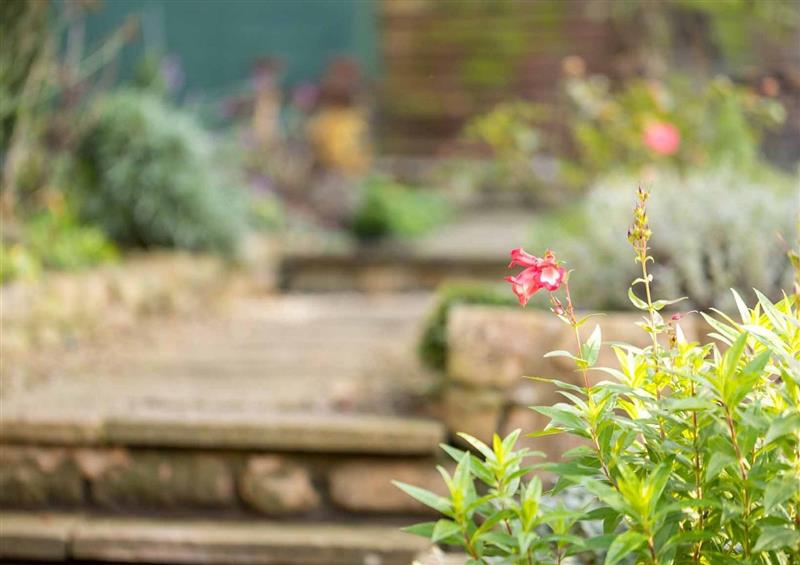 Enjoy the garden at Lanes Cottage, Chipping Campden