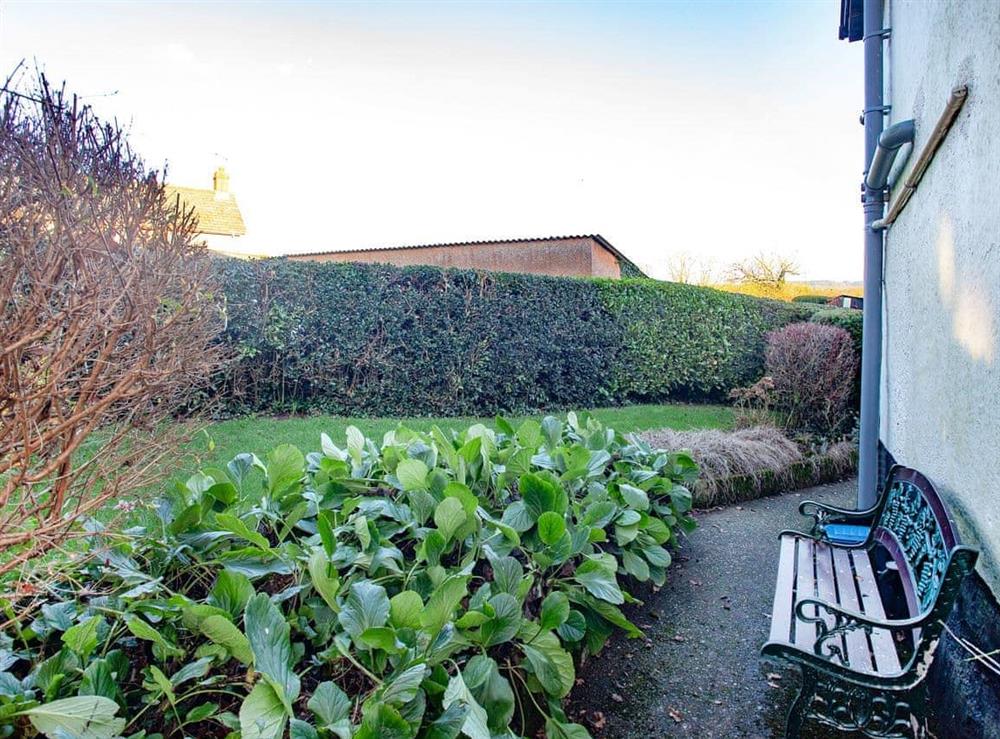 Garden (photo 2) at Lanes Cottage in Kentisbeare, near Cullompton, Devon