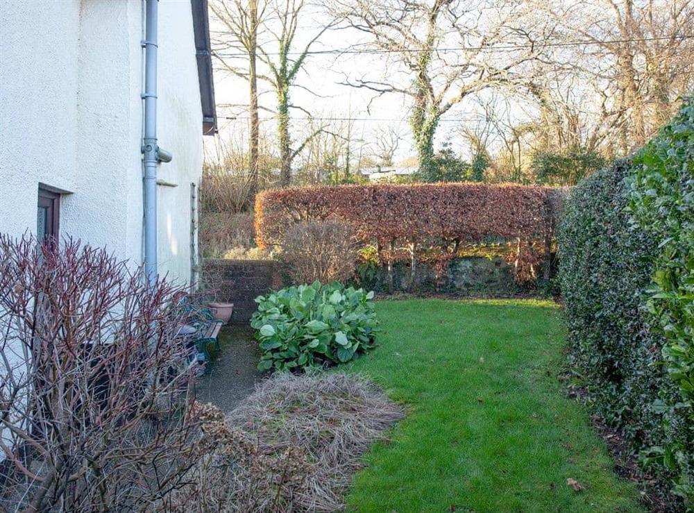 Garden at Lanes Cottage in Kentisbeare, near Cullompton, Devon