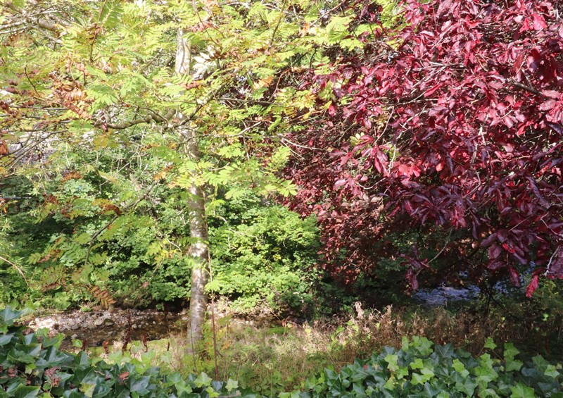 Outside (photo 8) at Langcliffe House, Kettlewell