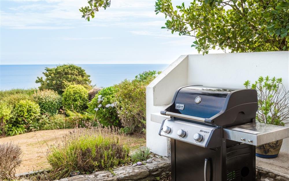 Perfect are for barbecues!  at Langerstone in East Prawle