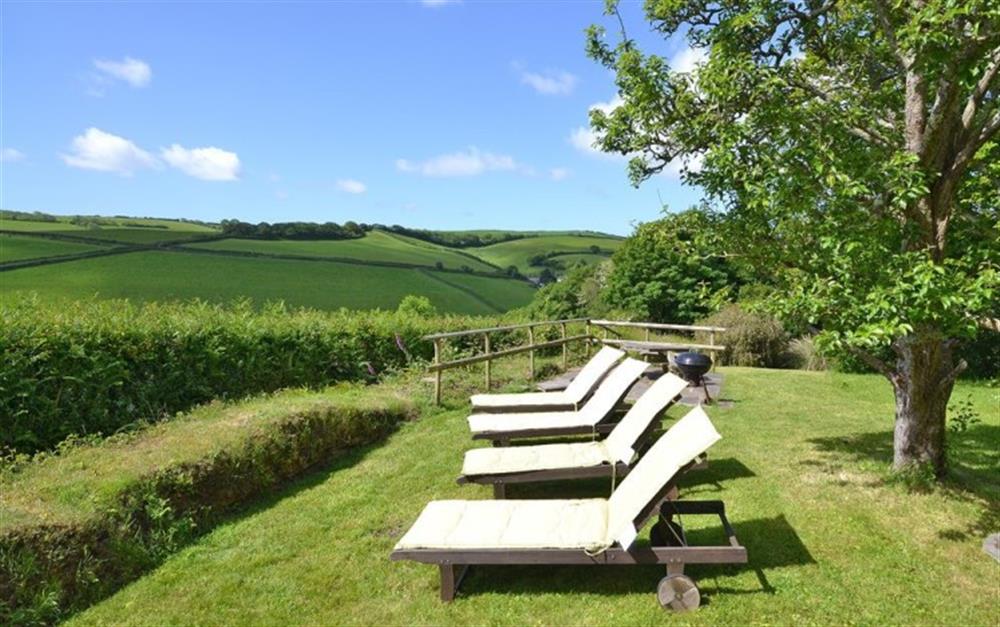 The sun lounger area. at Langford Down Cottage in Slapton