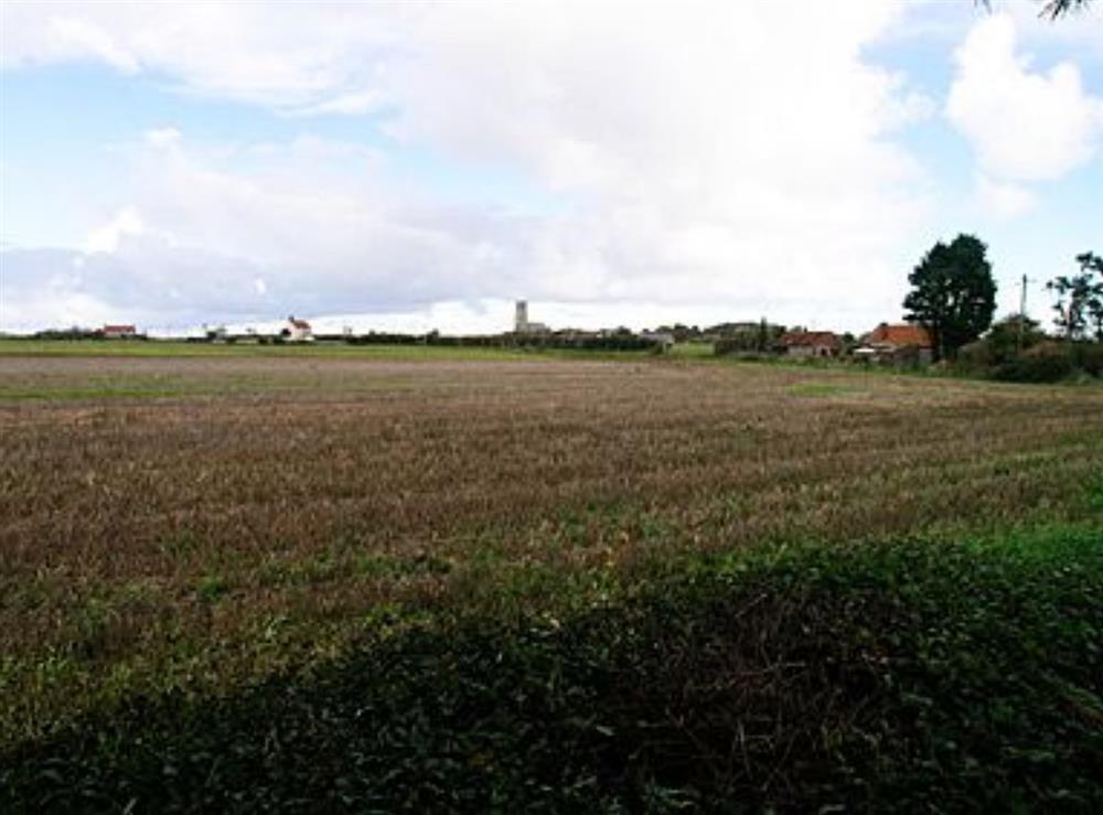 View at Lanthorn Cottage in Happisburgh, Norfolk