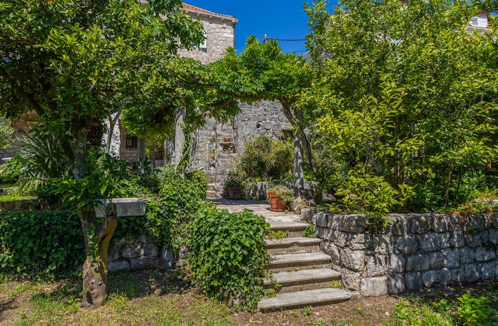 Lapad House