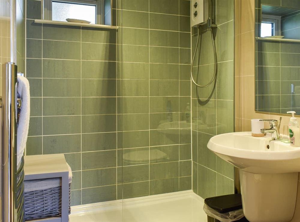 Shower room at Lapwing 1, The Cove in Brixham, Devon