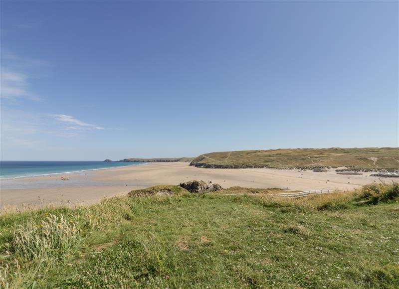 In the area at Lapwing, Perranporth