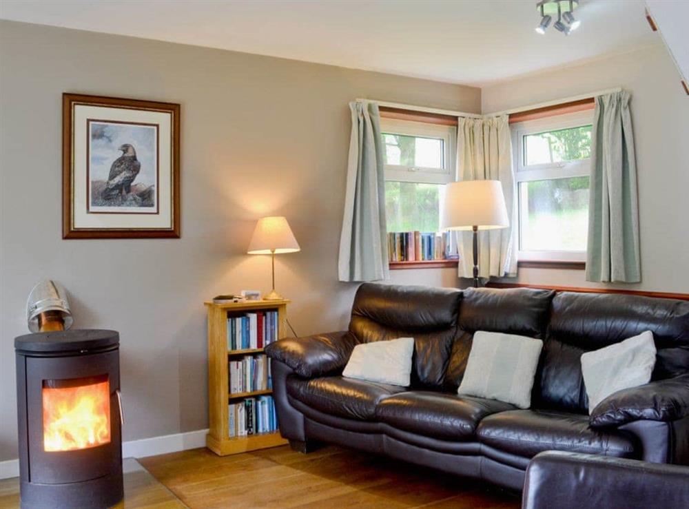 Cosy living area with wood burner at Larch Cottage in Blairmore, near Dunoon, Argyll