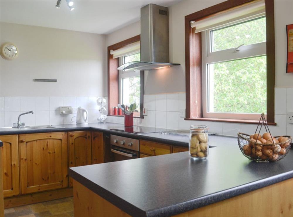 Well equipped kitchen area at Larch Cottage in Blairmore, near Dunoon, Argyll