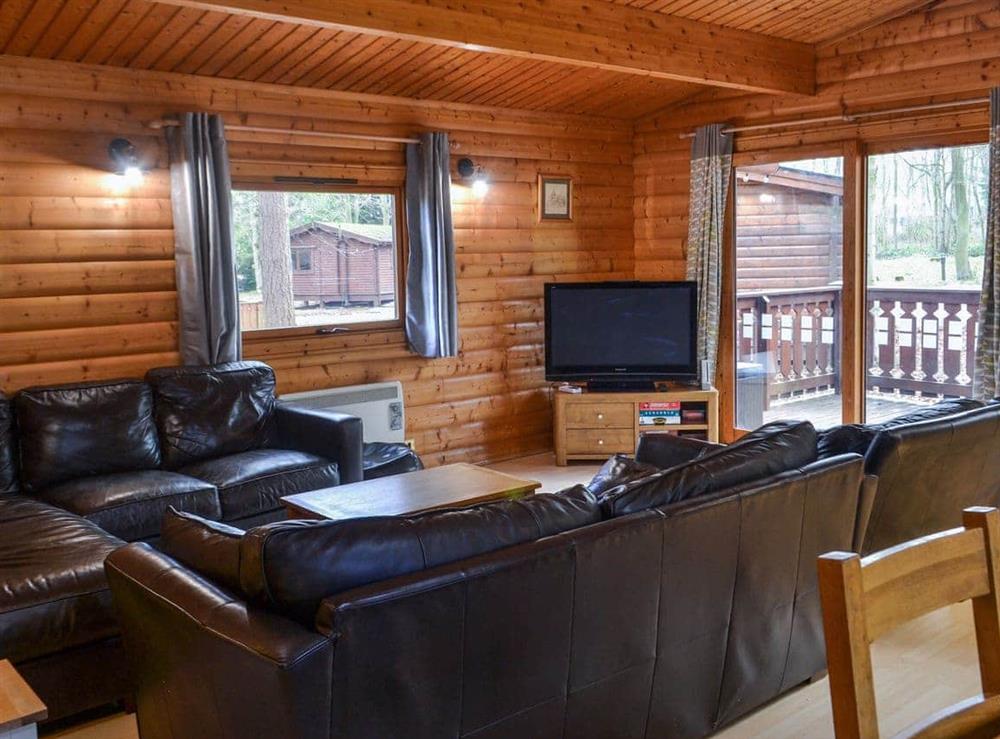 Living area at Larch Lodge in Kenwick, near Louth, Lincolnshire