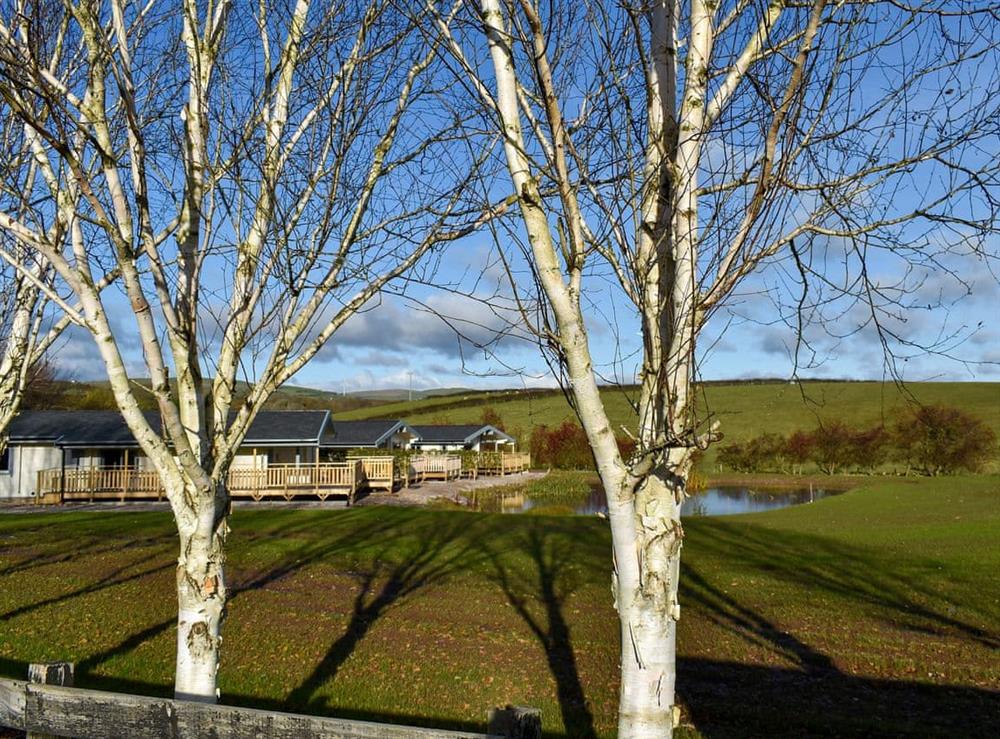 Garden and grounds at Larch Lodge in Ulverston, Cumbria